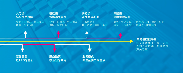 关务管理软件